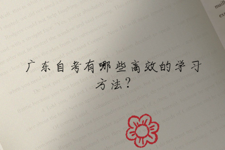 廣東自考有哪些高效的學習方法?